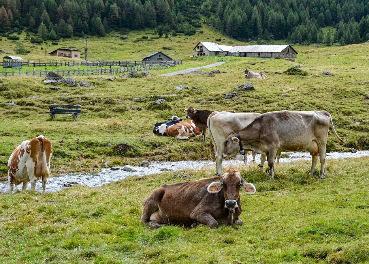 Farm fresh produce